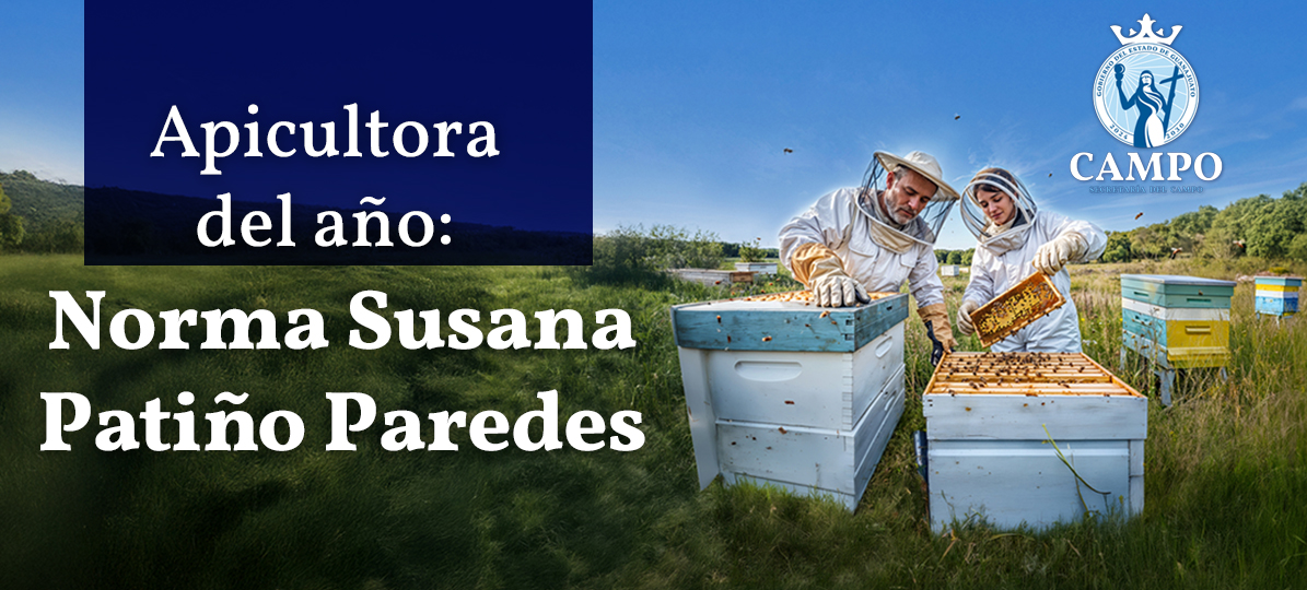 Cursos