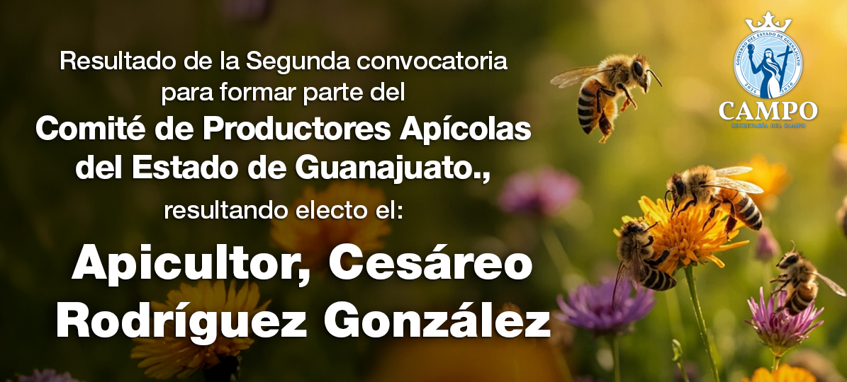 Cursos